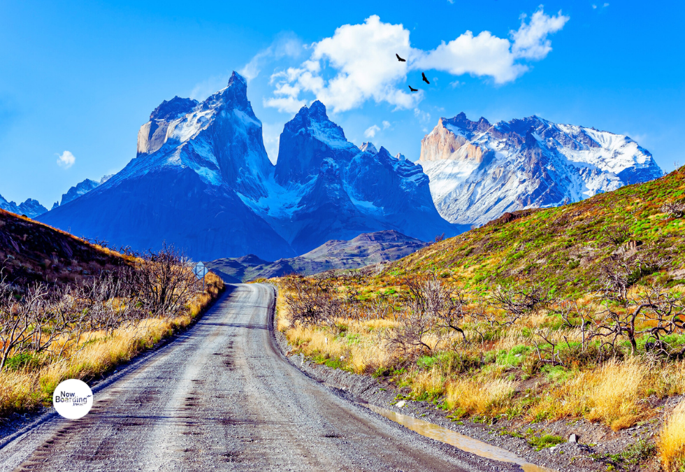 Luxury Hotel Openings 2025: 5 New Stays We’re Bookmarking