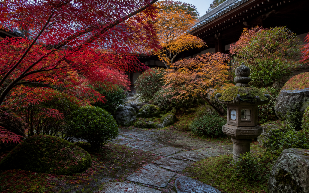 The Best Time to Visit Japan: A Month-by-Month Guide for Every Type of Traveller