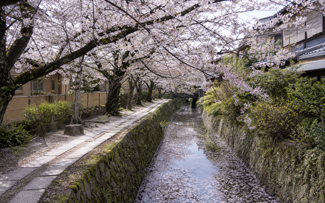 The Best Places to Visit in Spring 2027: 12 Destinations at Their Most Beautiful